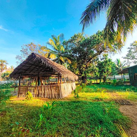 Wilpattu Green Cabin Achchamulai Exteriör bild