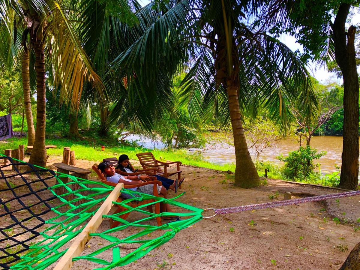Wilpattu Green Cabin Achchamulai Exteriör bild