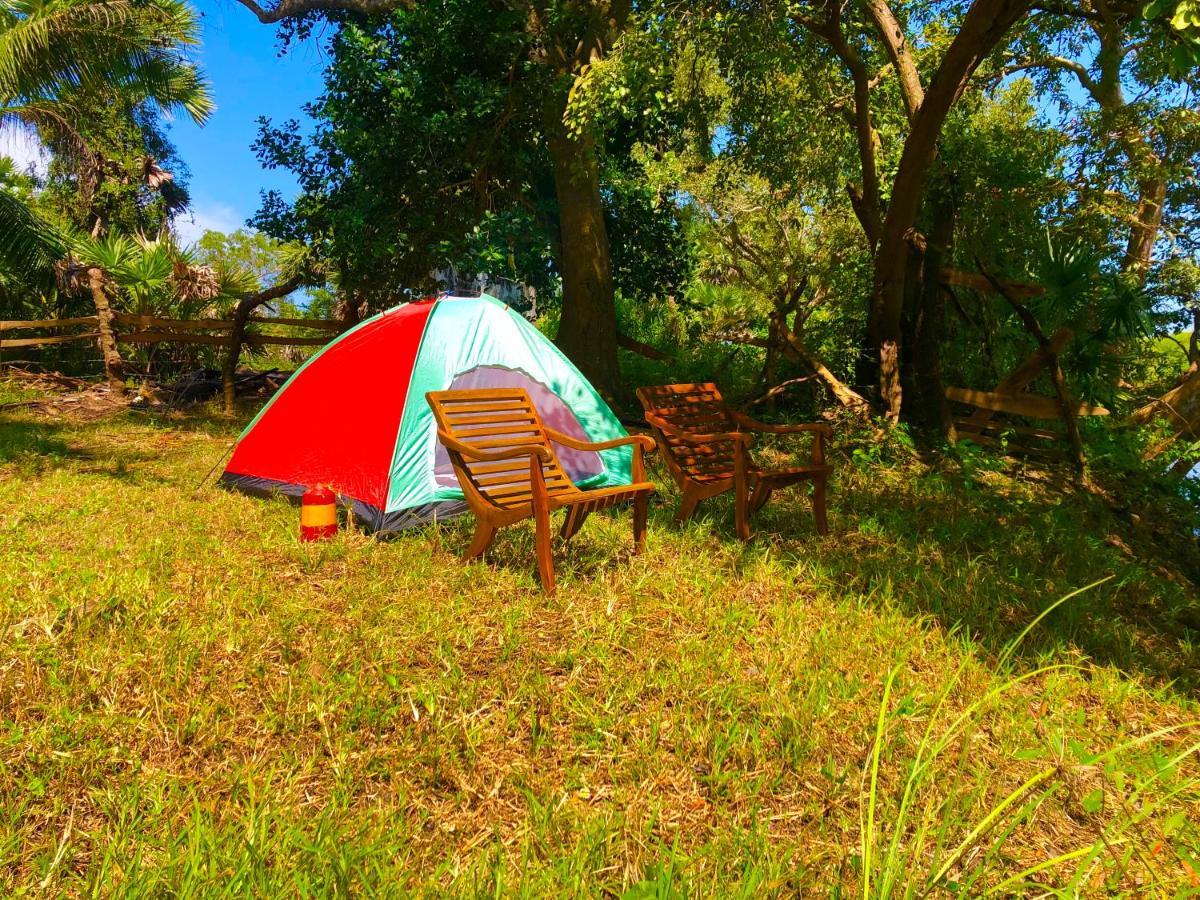Wilpattu Green Cabin Achchamulai Exteriör bild