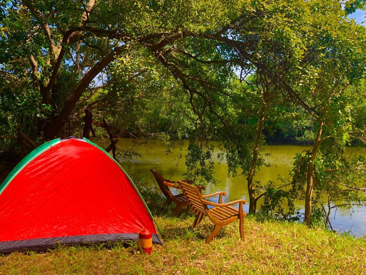 Wilpattu Green Cabin Achchamulai Exteriör bild