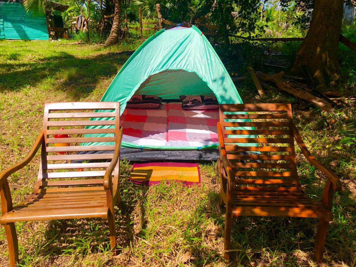 Wilpattu Green Cabin Achchamulai Exteriör bild