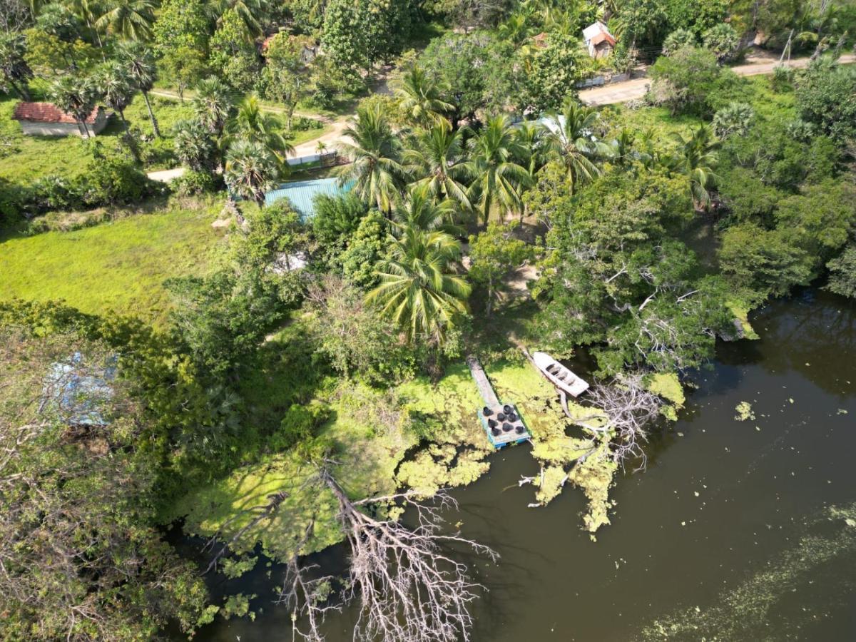 Wilpattu Green Cabin Achchamulai Exteriör bild