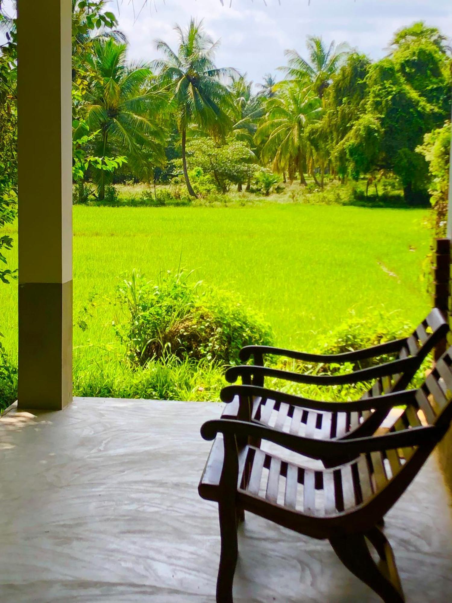 Wilpattu Green Cabin Achchamulai Exteriör bild