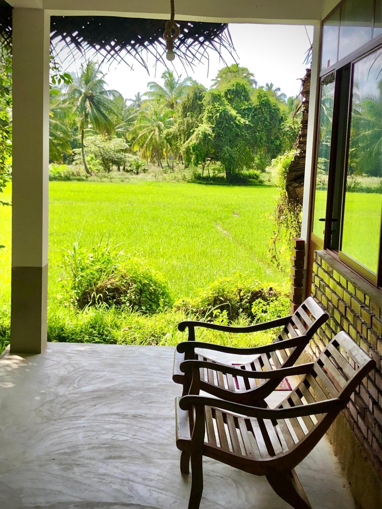 Wilpattu Green Cabin Achchamulai Exteriör bild