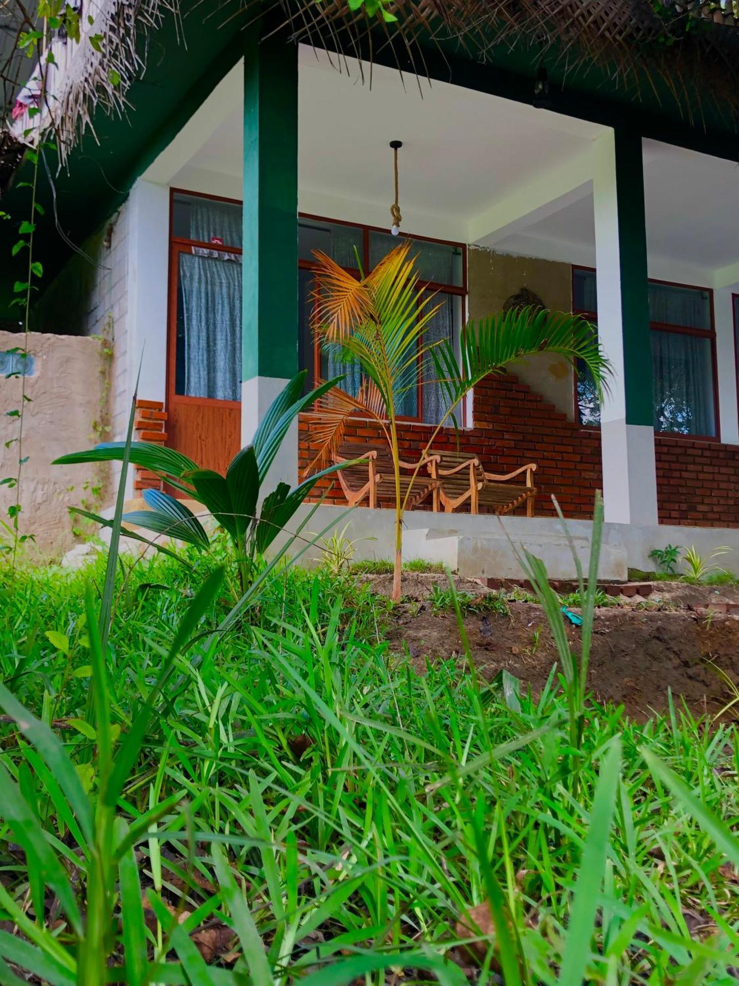 Wilpattu Green Cabin Achchamulai Exteriör bild