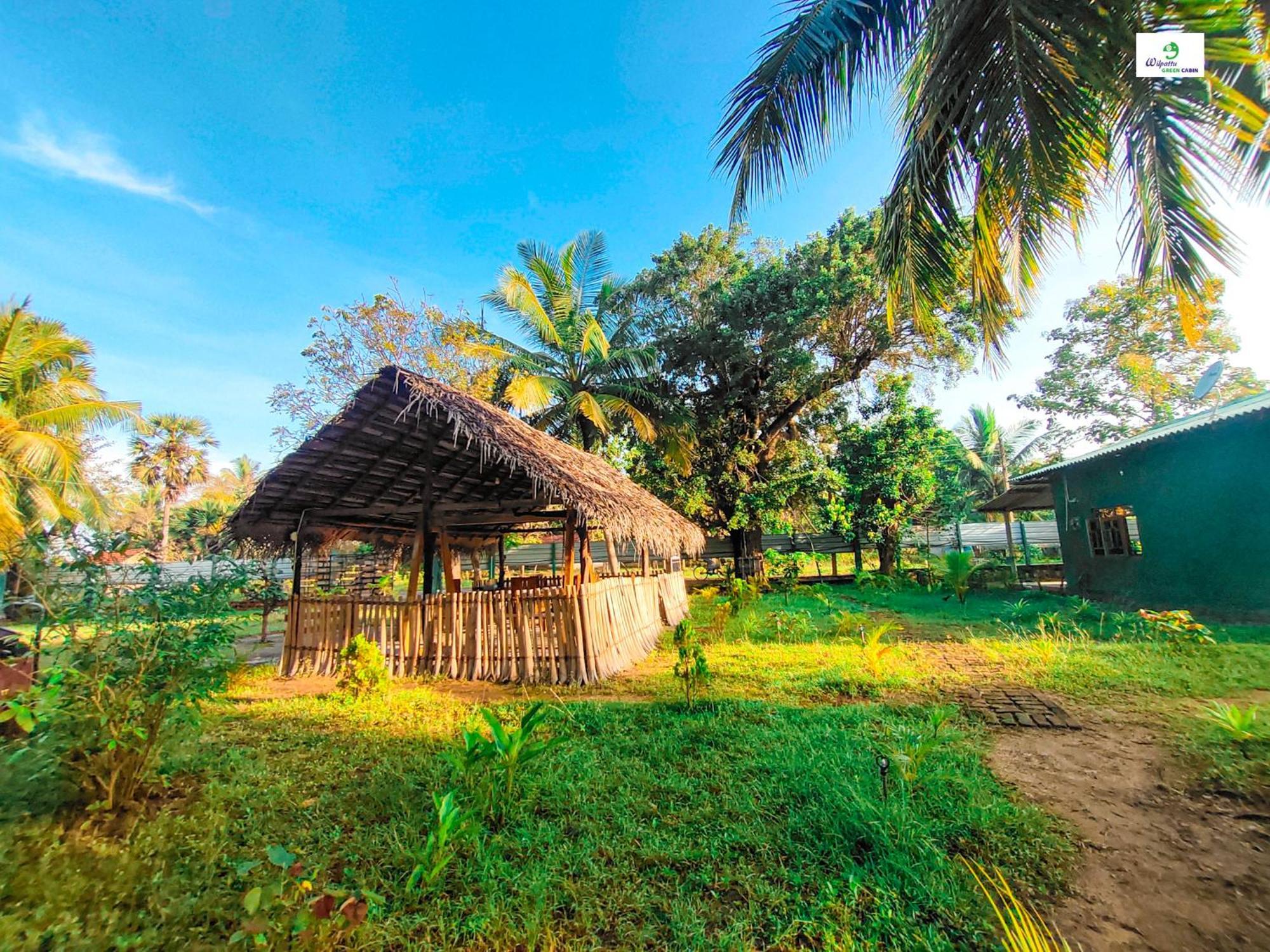 Wilpattu Green Cabin Achchamulai Exteriör bild